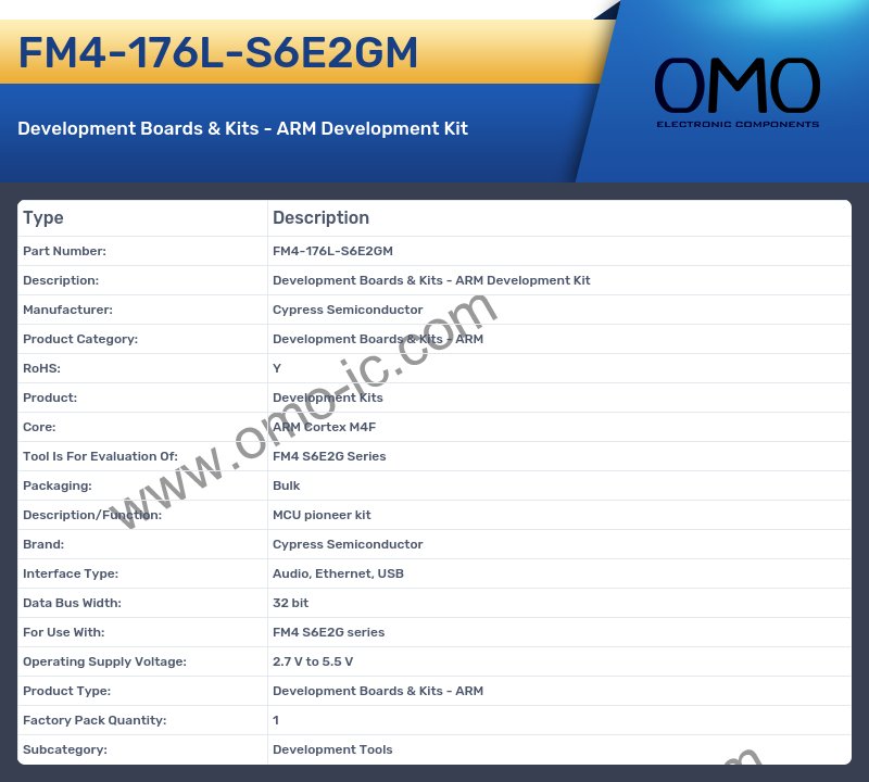 FM4-176L-S6E2GM