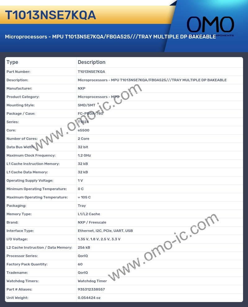 T1013NSE7KQA