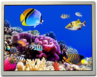 10.4” XGA TFT Display
