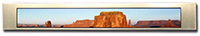 6.6” 92 x 800 TFT LCD Display