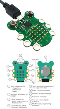 CodeBug™ Programmable and Wearable Device